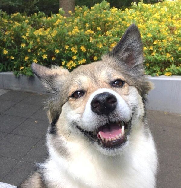 笑顔が可愛いフィオちゃん