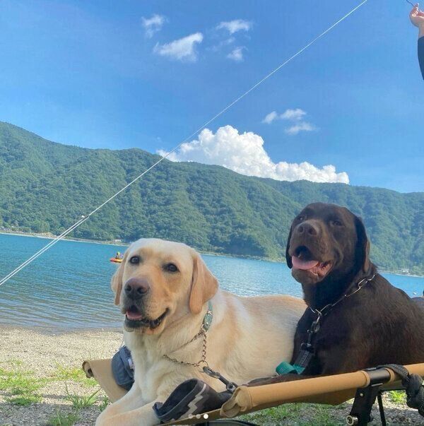 キャンプを楽しむイズちゃんとワズくん