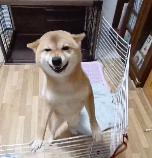 ゆずちゃん