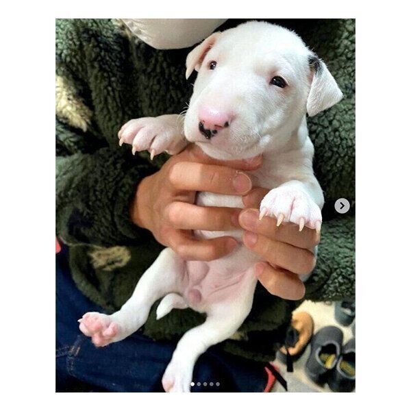 出会った頃のすずこちゃん