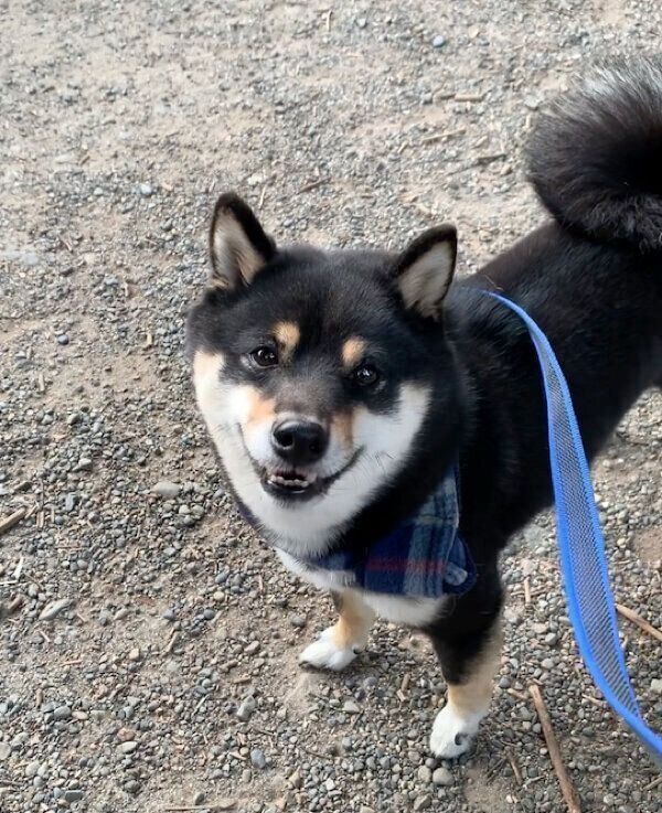 おやつ待ちのクロくん