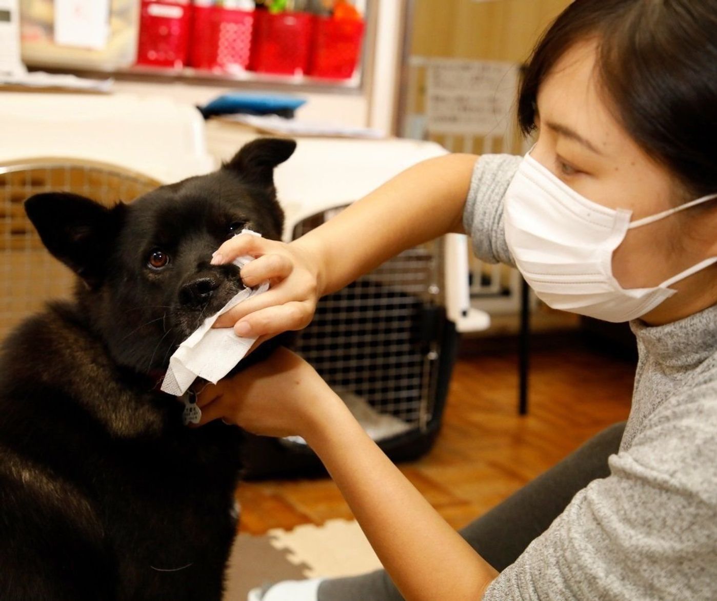 悩みを抱えた若者たちが保護犬をトレーニング 新しい家族の元へ いぬのきもちweb Magazine 悩みを抱えた若者たちが保護犬をトレーニング 新しい家族の元へ いぬのきもちweb Magazine