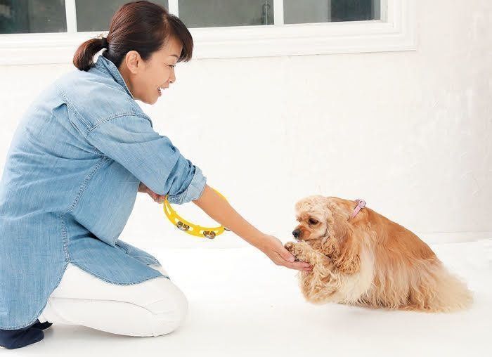 上手にできるかな