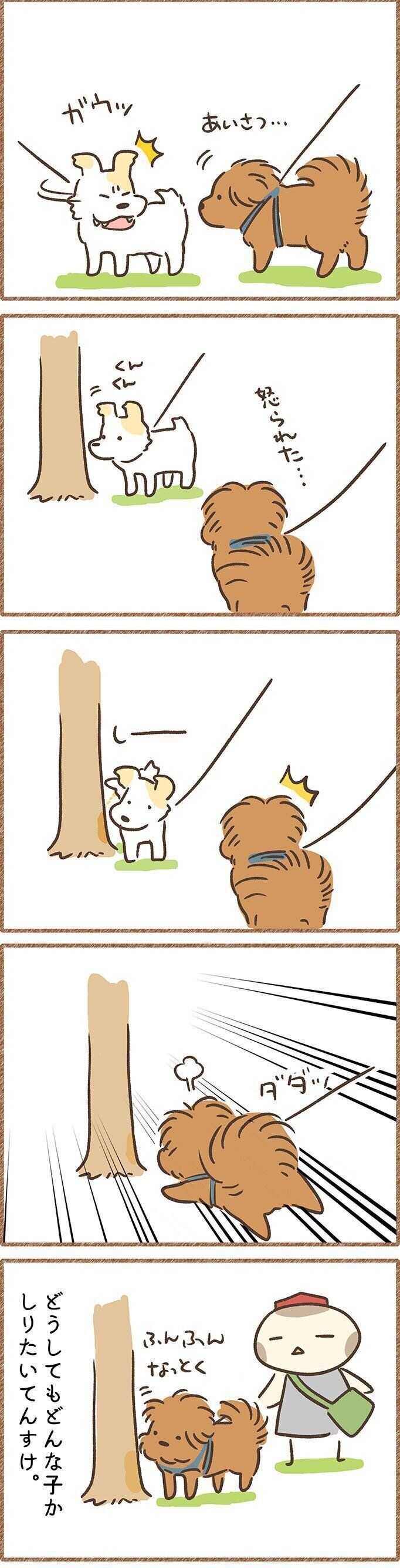 連載「こぐま犬てんすけ」
