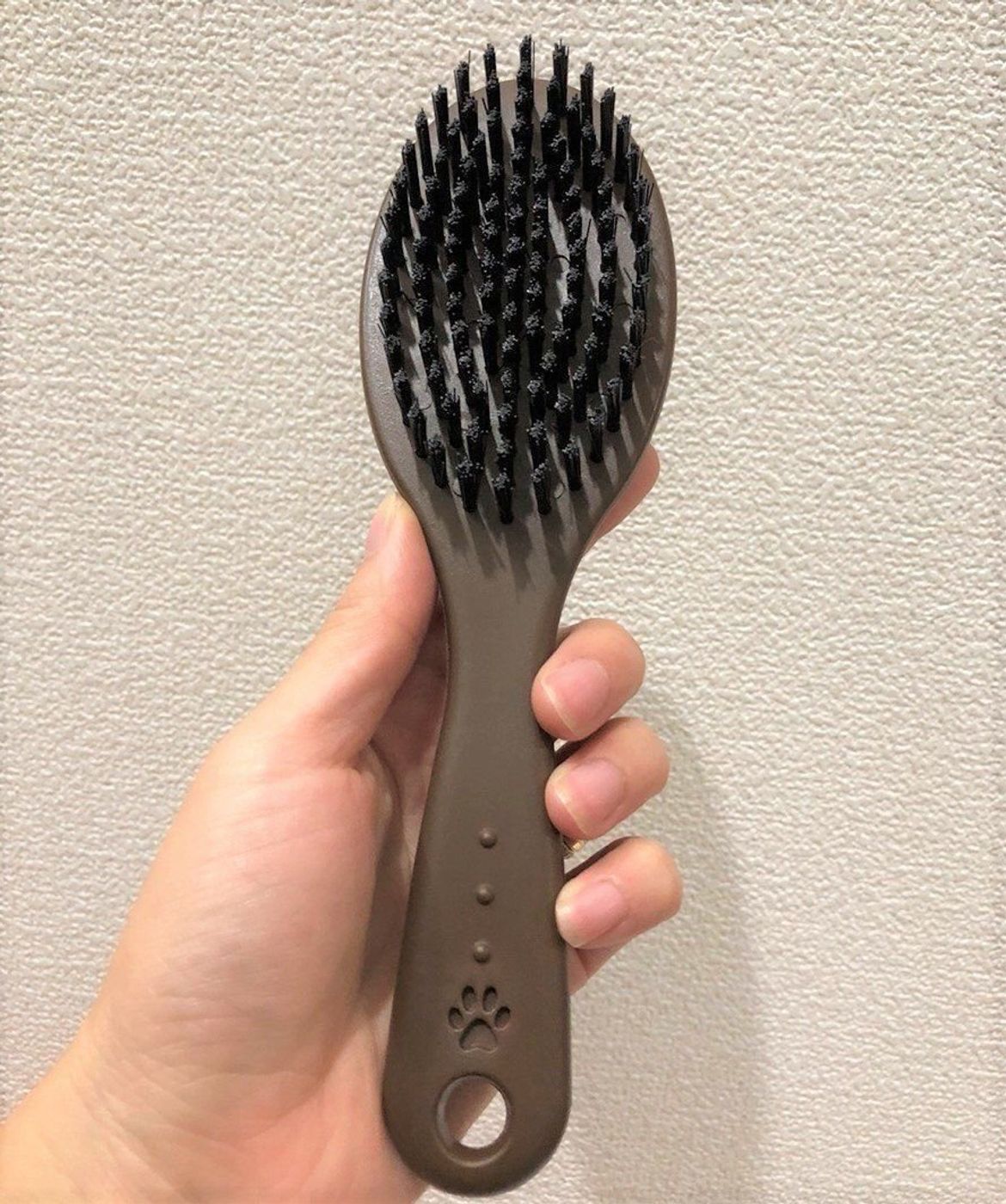 ダイソー 100均 の 犬用ツヤだしブラシ の実力を体験レポ いぬのきもちweb Magazine ダイソー 100均 の 犬用ツヤだしブラシ の実力を体験レポ いぬのきもちweb Magazine