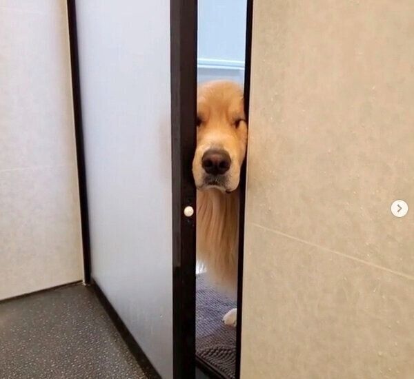 お風呂をチェックしにきたアランくん