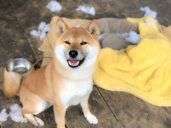 笑顔のそらくん