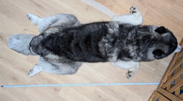 生後9カ月になる目前の爽くん