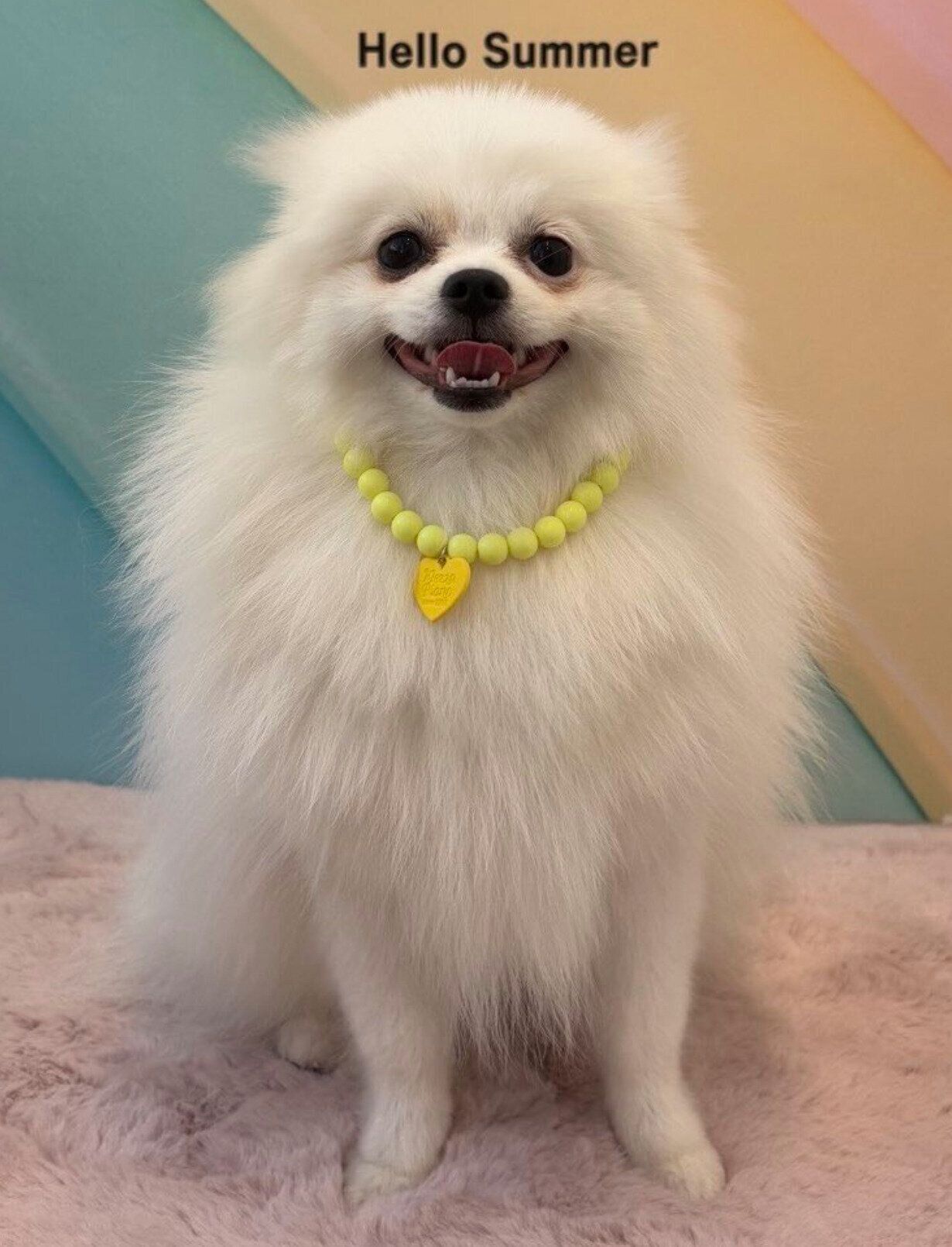 ふわふわなこっぺちゃん