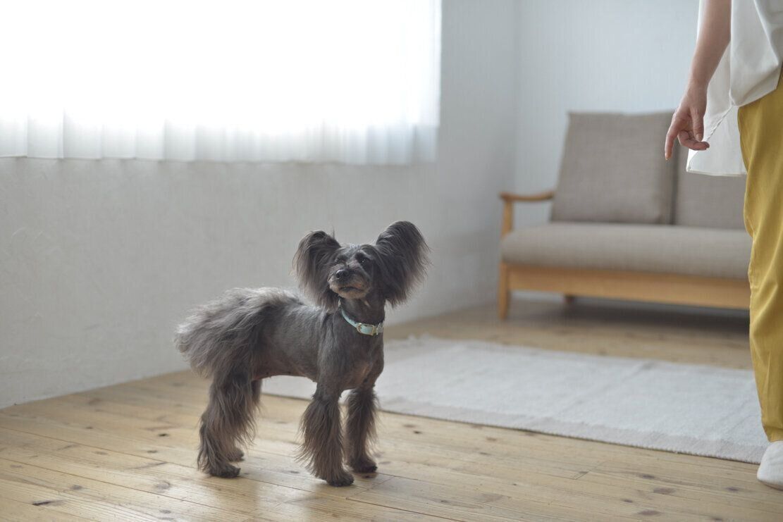 撮影／犬丸美絵