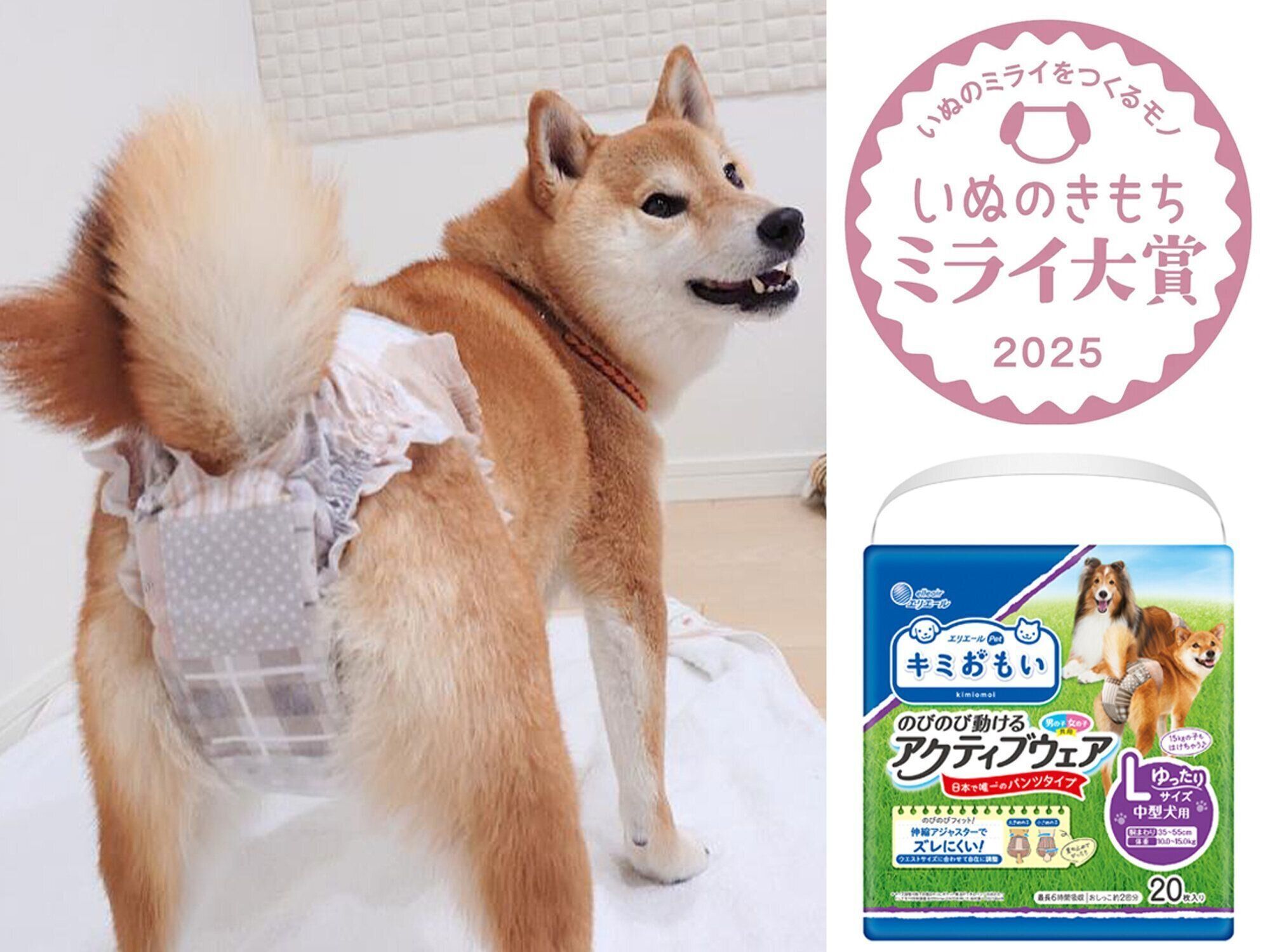 「エリエールPet キミおもい のびのび動けるアクティブウェア」をはいた柴