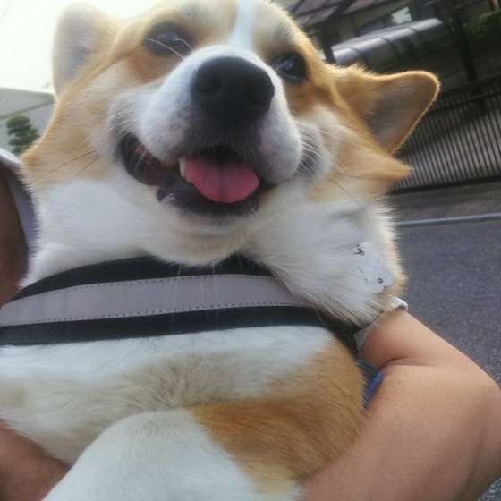 だっこされるココ太くん