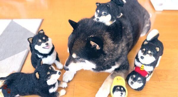 ジョナスくんとチビジョナスくん