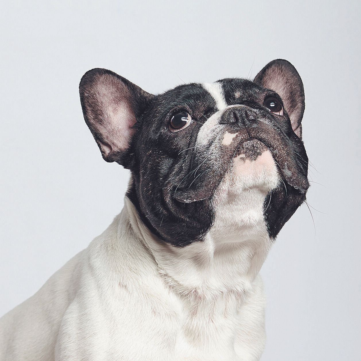 引用元：Andrei Naumenka/gettyimages