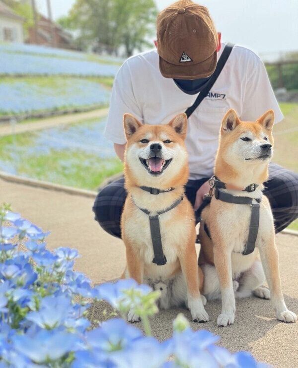 お出かけを楽しむわさびくん、もずくくん