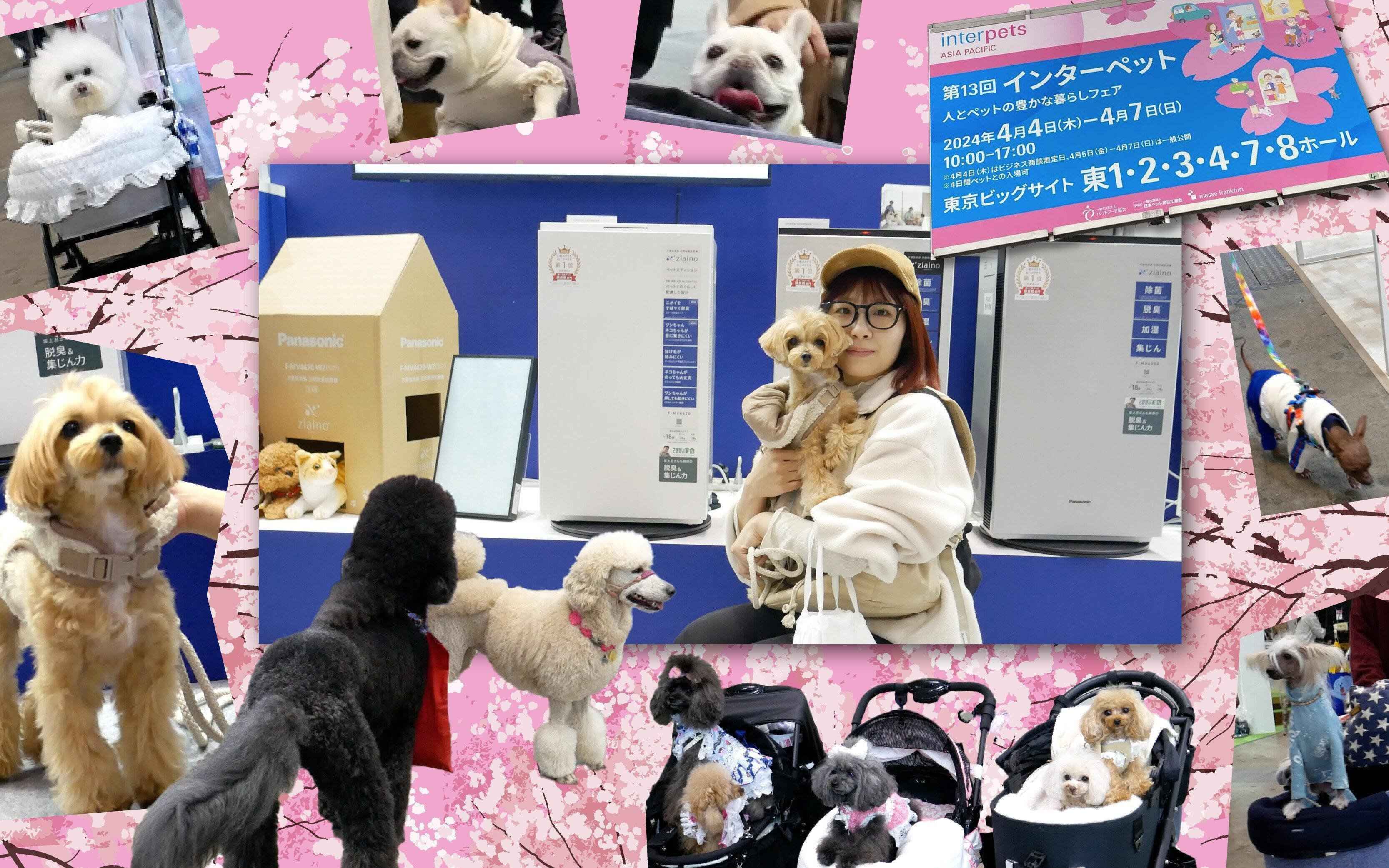 インターペット2024 パナソニック 家電　 HDペットカメラ 脱臭機　ジアイーノ　デジタルカメラ　ルミックス　クリーンドック　掃除機