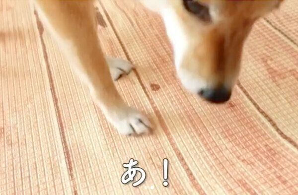 モモ子ちゃんの氷を奪う花子ちゃん