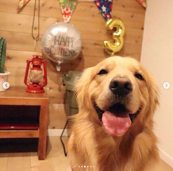 笑顔のモッシュくん