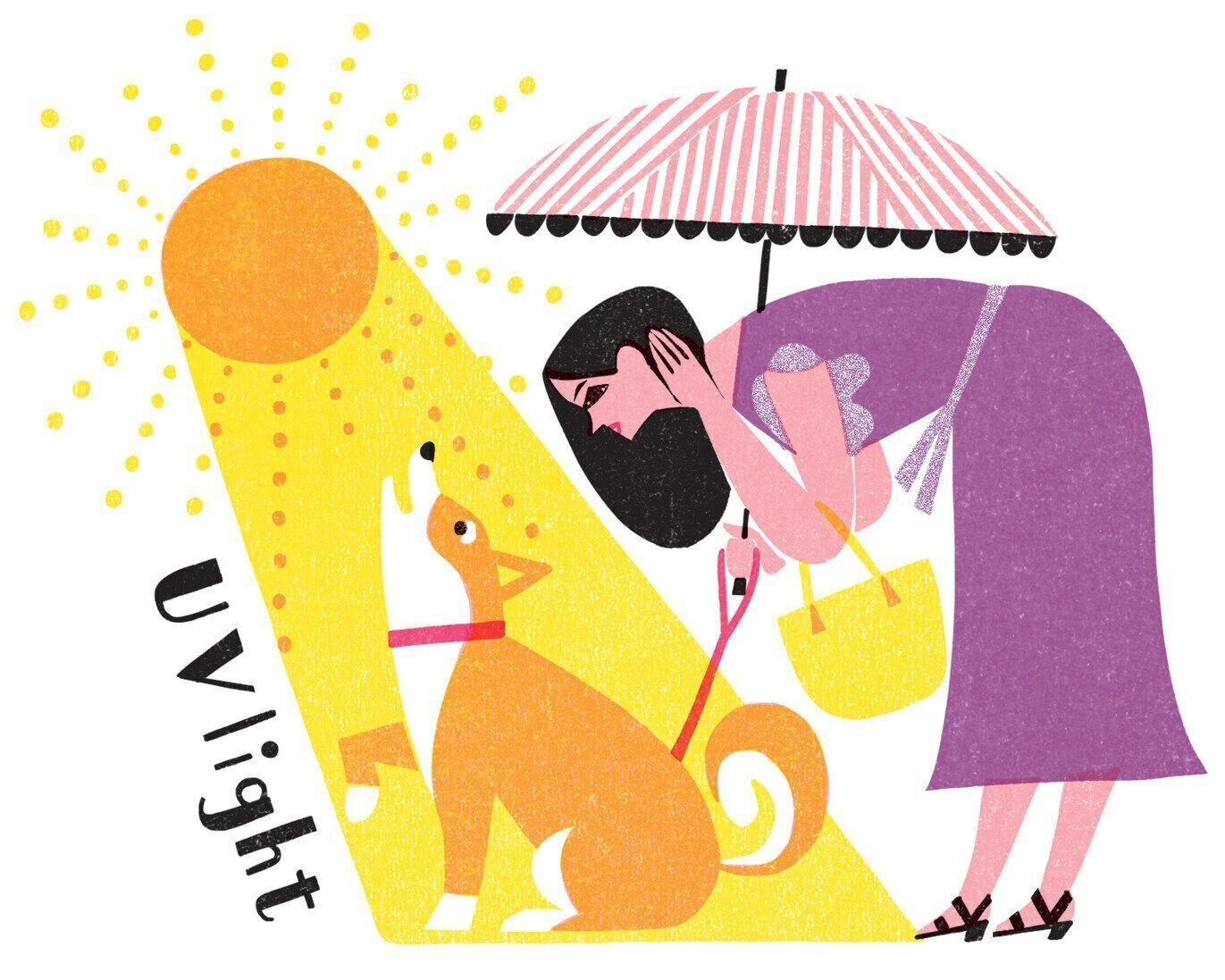 イラスト／岸潤一