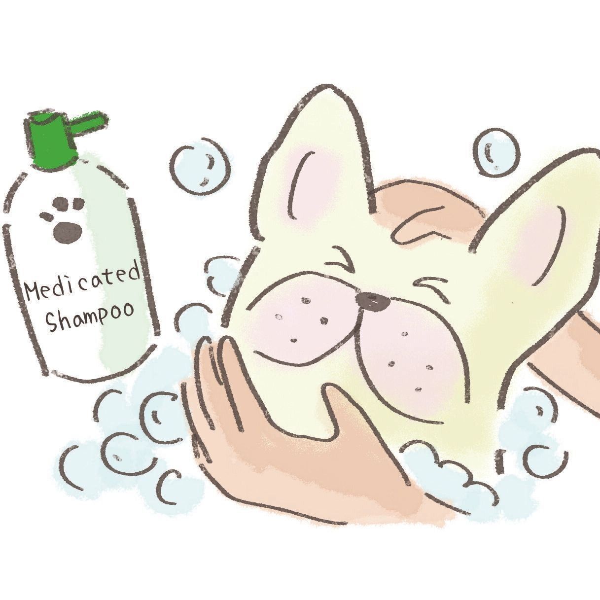 イラスト／セツサチアキ