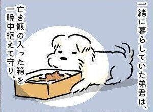 連載「こぐま犬てんすけ」vol.103