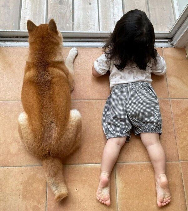 窓際で仲良く寝転がるまるこちゃんと娘さん