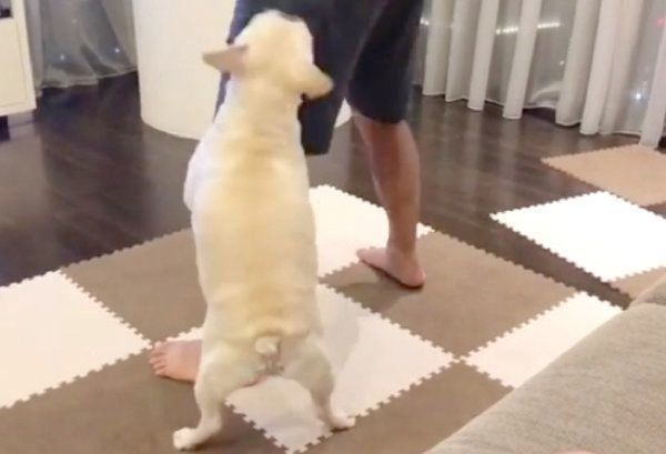 筋トレのお手伝いをするれおんくん