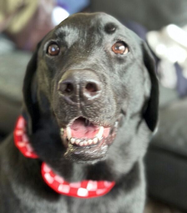 笑顔が可愛いぽこちゃん