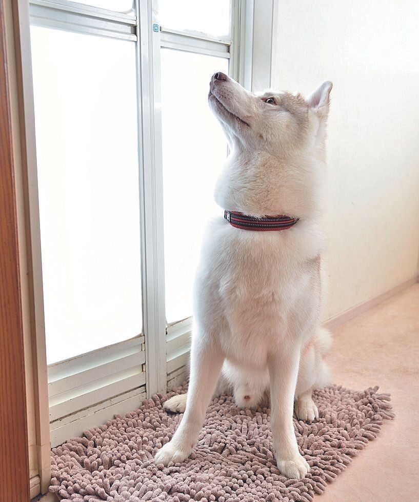 撮影／佐藤正之