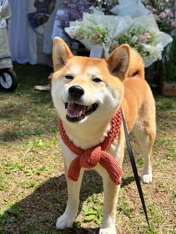 外でニコニコと笑うすずちゃん