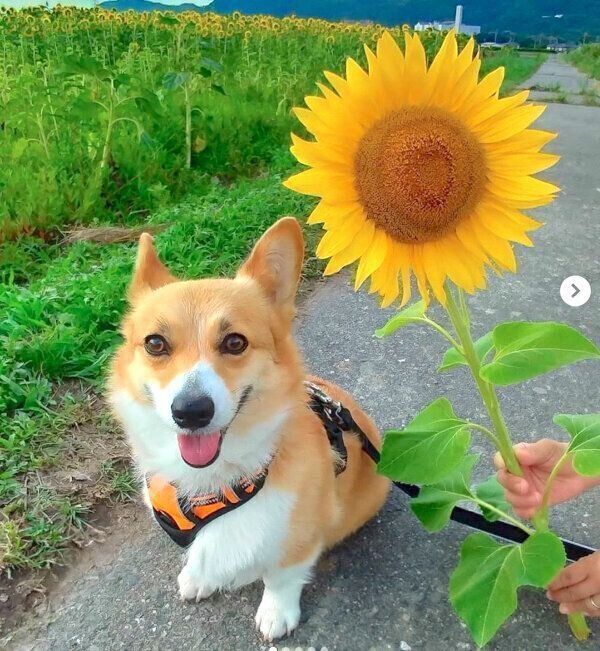 笑顔のゆずちゃん