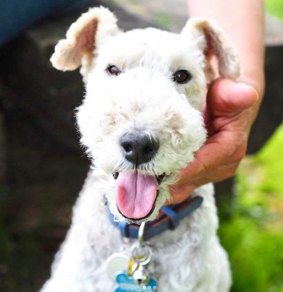 笑顔のこっぺぱんちゃん