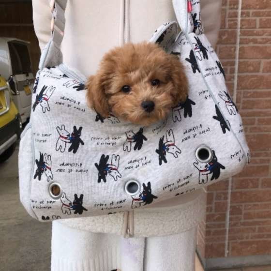 お出かけ大好き♪