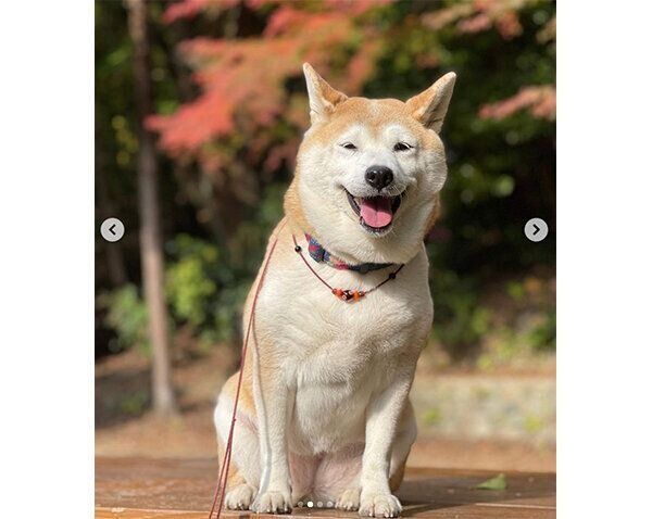 笑顔のこなつちゃん