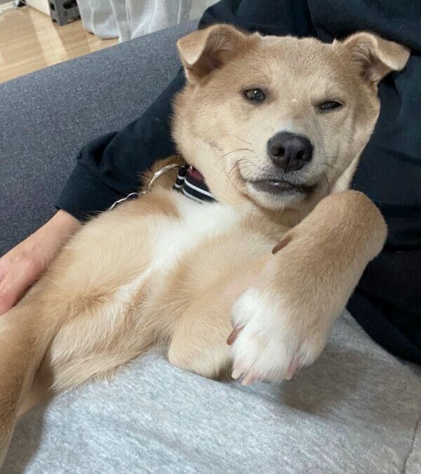 眠たそうなあさぎちゃん