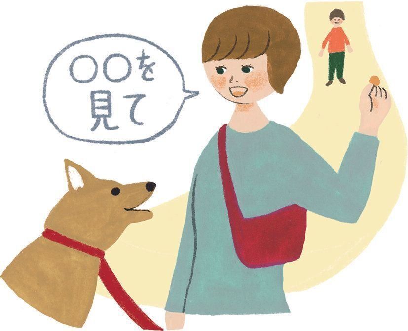 イラスト／macco