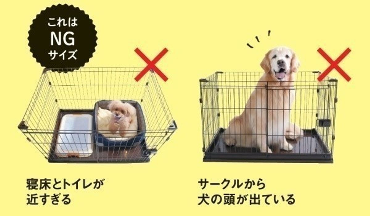 愛犬が喜ぶ ピッタリサイズのクレートとサークルの選び方 いぬのきもちweb Magazine 愛犬が喜ぶ ピッタリサイズのクレートとサークルの選び方 いぬのきもちweb Magazine