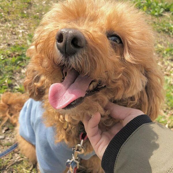 笑顔のむぎちゃん