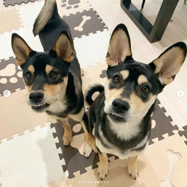 ななちゃんといぶきくん