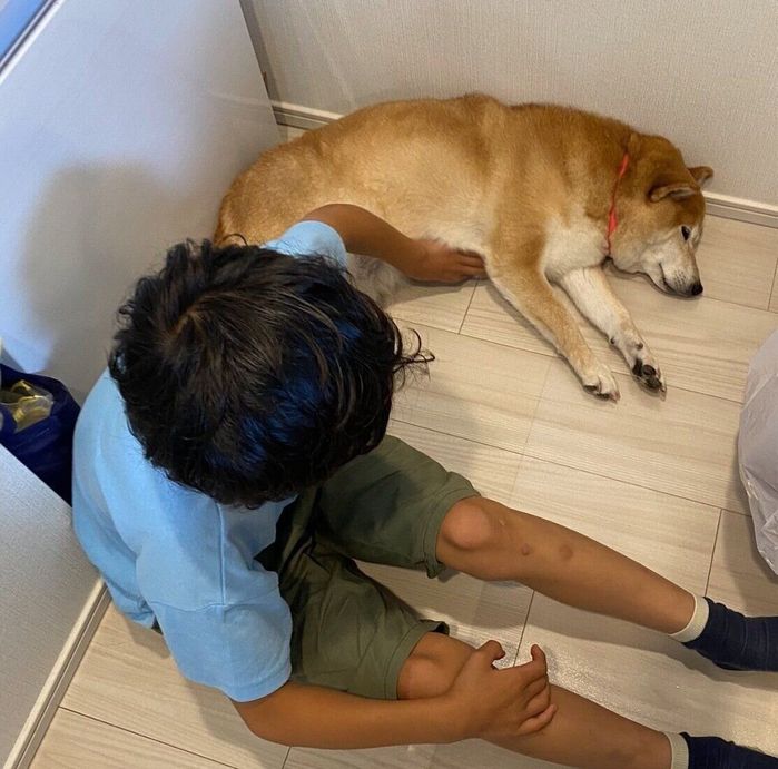 甥っ子さんに慰めてもらうロコちゃん