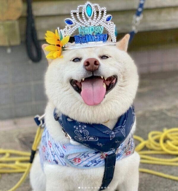 笑顔のごん太くん