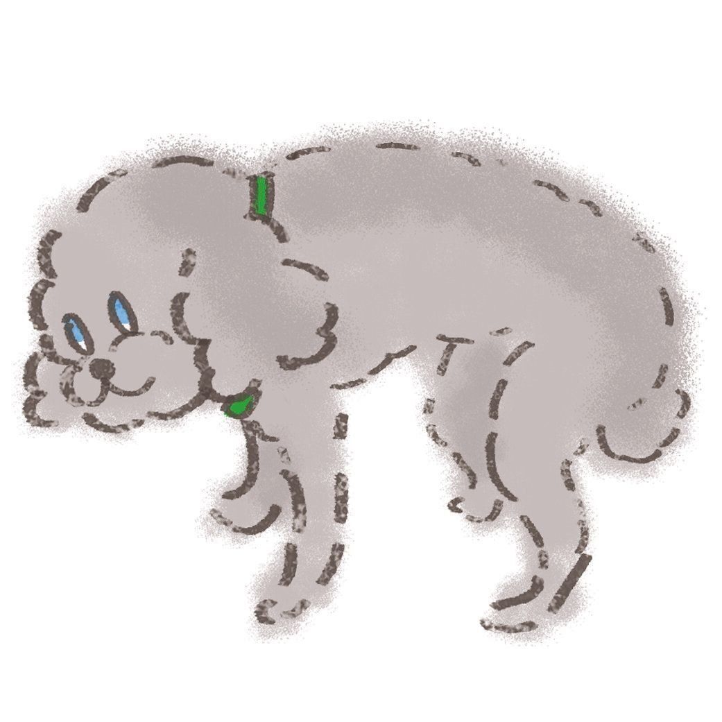 イラスト／セツサチアキ