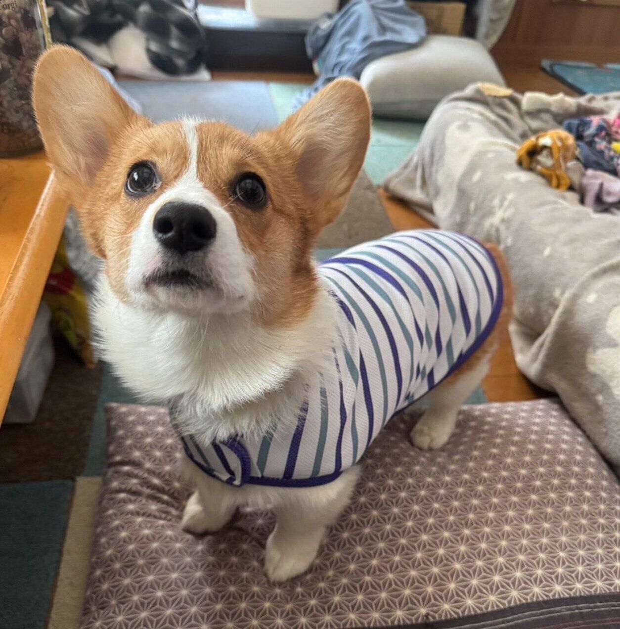 すくすくと成長中のアイナちゃん