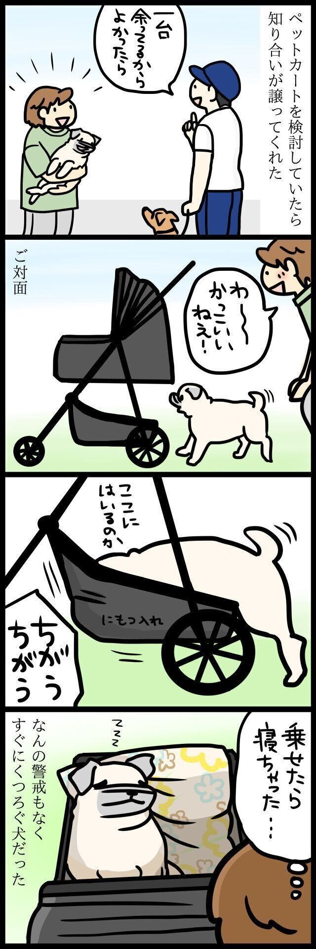 【連載】パグ犬・めー