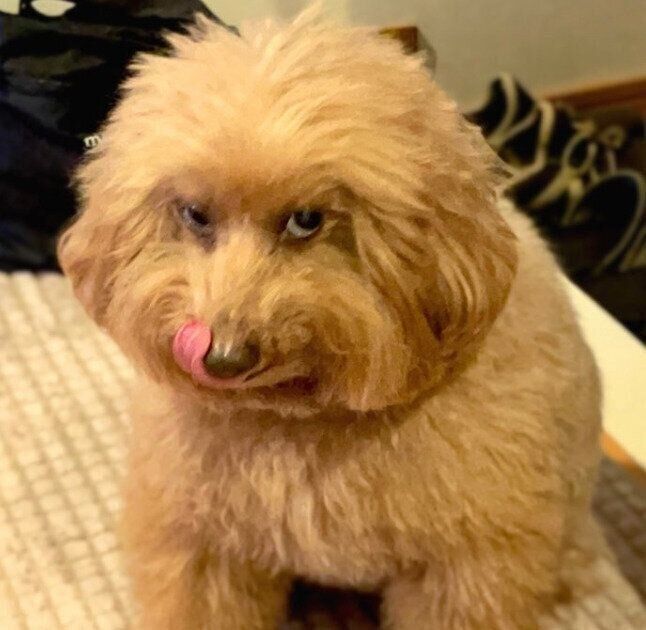 偶然撮影された、鋭い視線を送る森くん