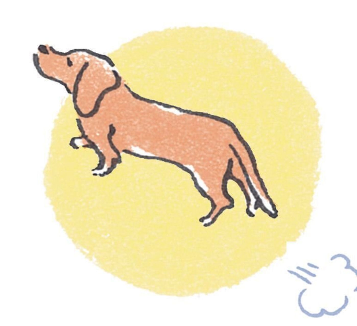 犬が震える ヨダレが多い 食フンする それはストレスが原因の 病気 かも いぬのきもちweb Magazine 犬が震える ヨダレが多い 食フンする それはストレスが原因の 病気 かも いぬのきもちweb Magazine