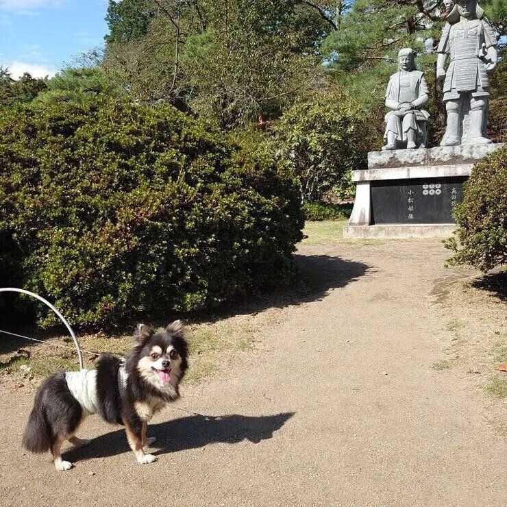 つなよしさんの写真