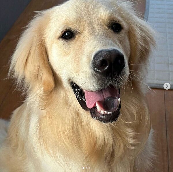 笑顔が可愛いテオくん