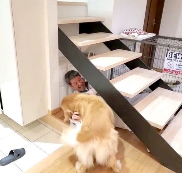 パパさんの帰宅を喜ぶアランくん