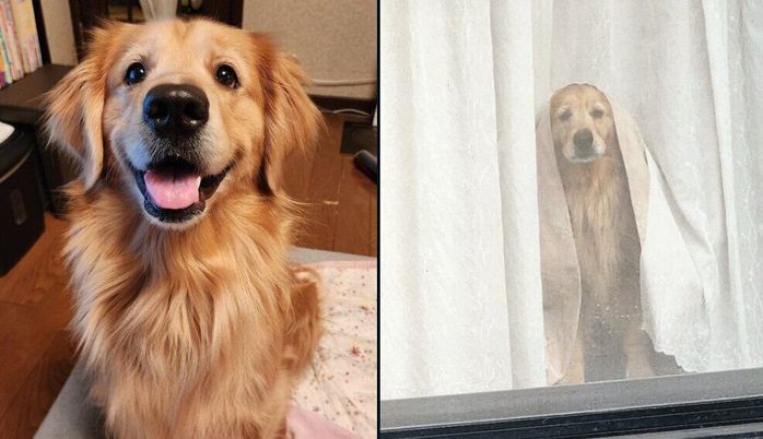表情豊かなシャーロットちゃん